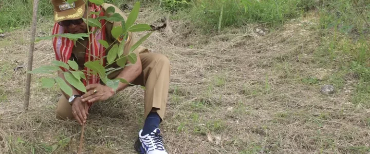 Penjabat Bupati Alexon Lumba Tanam Pohon Mahoni di Bendungan Oeltua